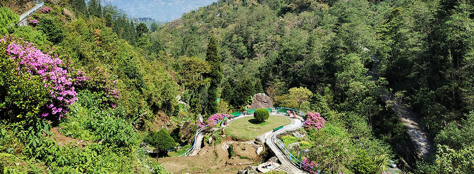 Darjeeling Rock Garden