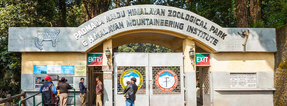 Padmaja Naidu Himalayan Zoological Park