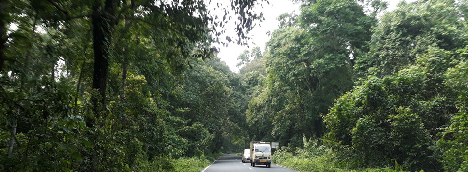 Gorumara National Park