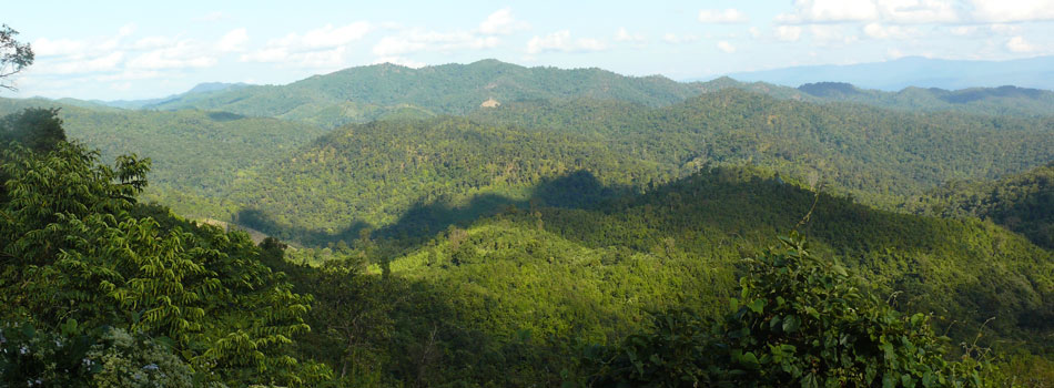 Loktak Lake, Manipur