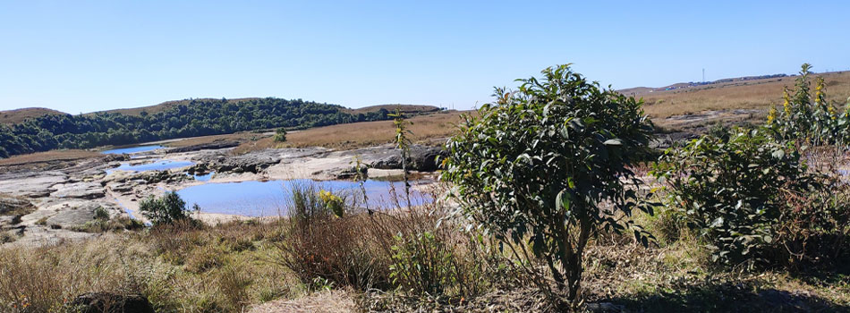 Cherrapunji and Mawsynram, Meghalaya