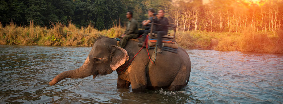 Chitwan National Park