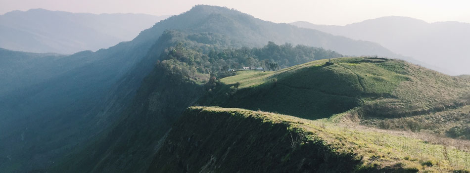 Dzukou Valley, Nagaland